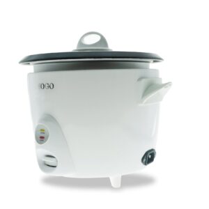 ARR-SS-10065 | Riskoger 500 W