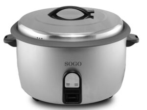 ARR-SS-10780 | Riskoger 10 Liter 2950 W