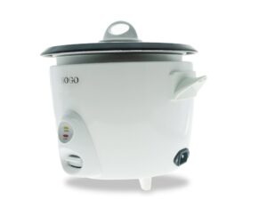 ARR-SS-10065 | Riskoger 500 W